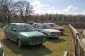 IMG_4940