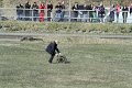 IMG_2774