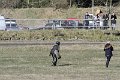 IMG_2779