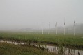 IMG_1426