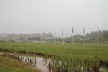 IMG_1553