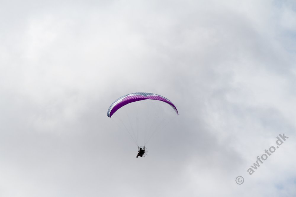 IMG_4433.JPG