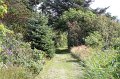 IMG_3350