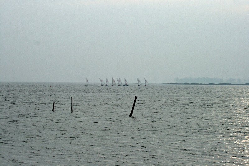 IMG_2986.JPG