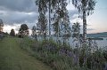 IMG_0818