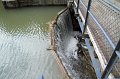 IMG_0944