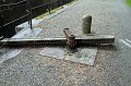 IMG_0958