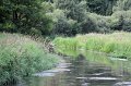 IMG_4797