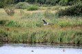 IMG_4804