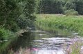 IMG_4805