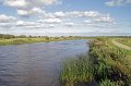 IMG_5452