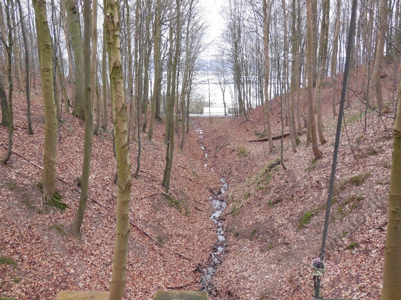 DSCN2103.JPG