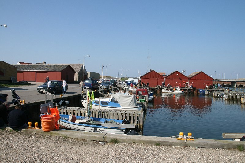 IMG_1504.JPG