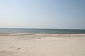 IMG_1400