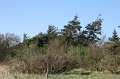 IMG_1409