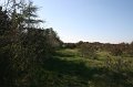 IMG_1415
