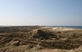 IMG_1490