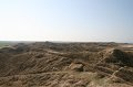 IMG_1491