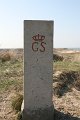 IMG_1493
