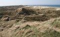 IMG_1494