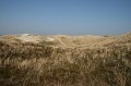 IMG_1496
