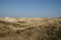 IMG_1497