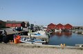 IMG_1504