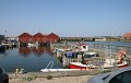 IMG_1505