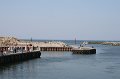 IMG_1508