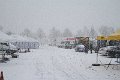 IMG_3133