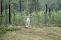 IMG_0683