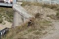 IMG_0832