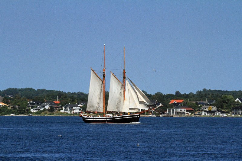 IMG_7418.JPG