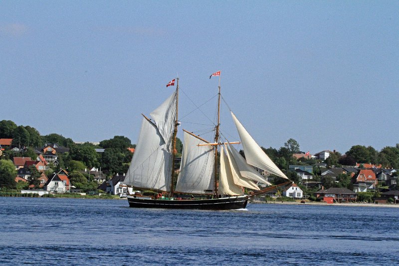 IMG_7556.JPG