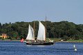 IMG_7541