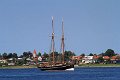 IMG_7548