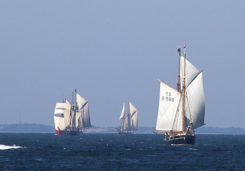 IMG_6369.jpg